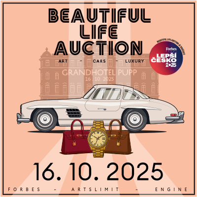 Beautiful life auction